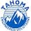 Tahoma Engineered Solutions logo