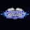 Dynamic Power Racing Technology logo